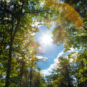 有声少妇成人精读笔趣阁
